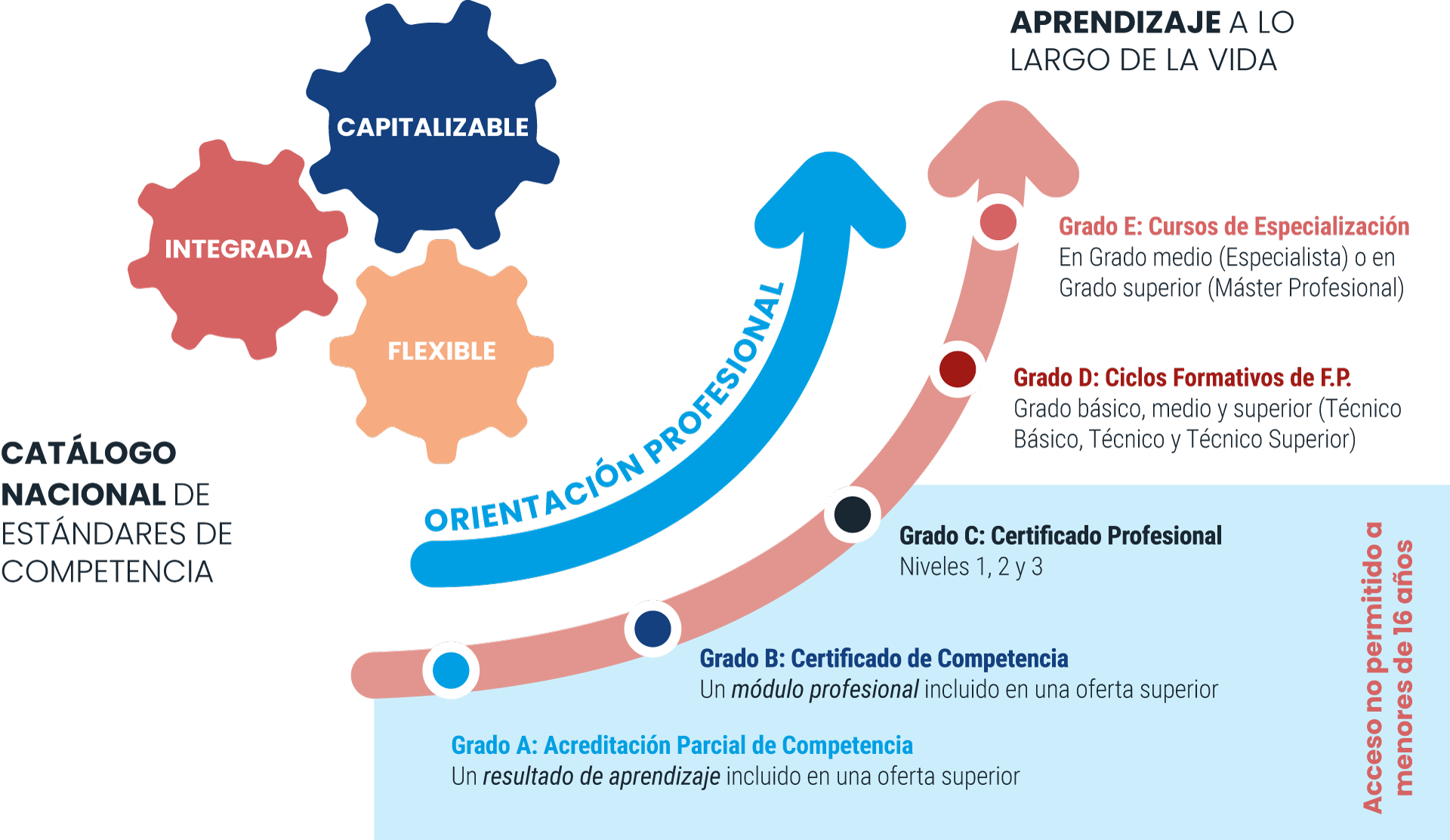 Nuevo Modelo de Formación Profesional